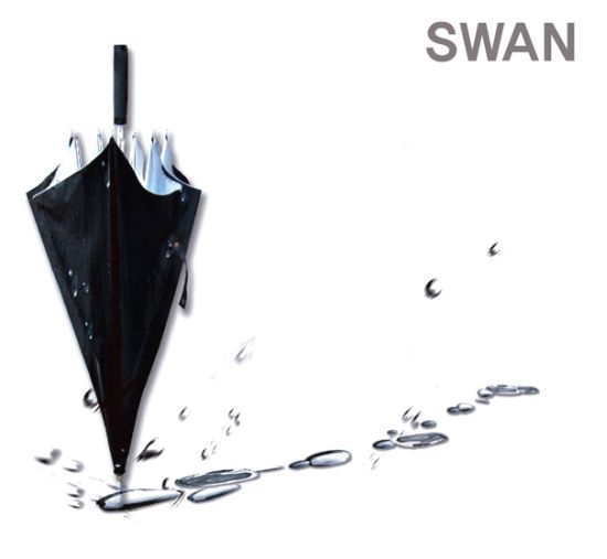 swan dryer