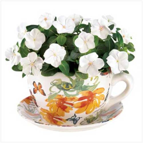 Teacup and saucer planter