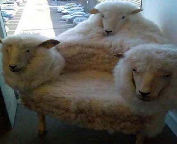 The Sheep Chair