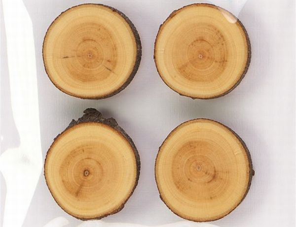Treebuttons Magnets