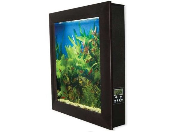 Eight trendy fish tanks to perk up your home decor - Hometone - Home ...