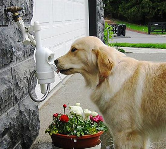 Automatic Outdoor Pet Drinking Fountain, Outdoor Pet Water Fountain