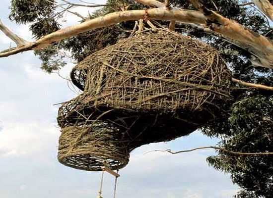 weavers nest 1