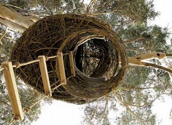 weavers nest 3