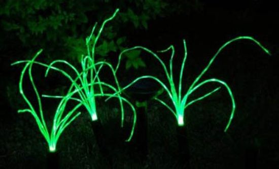 wild grass solar garden lights