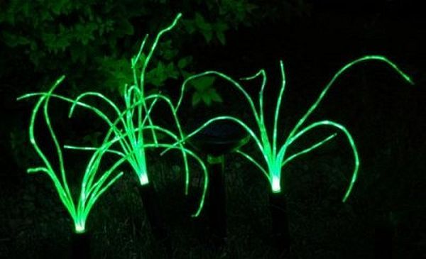Wild Grass LED Lights