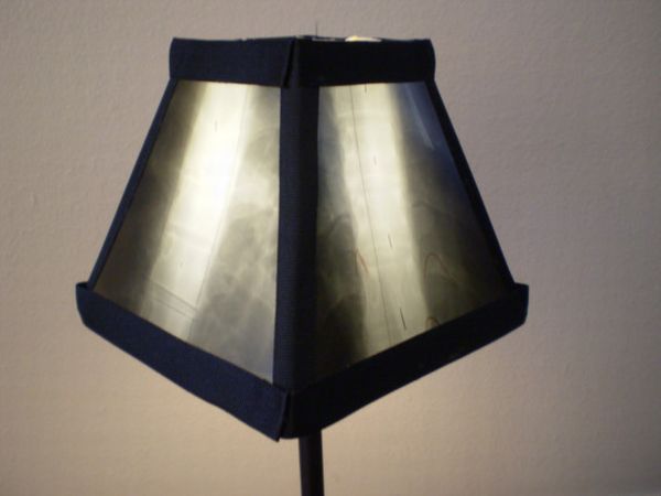 X-Ray Lamp Shade