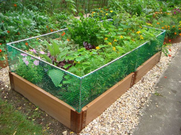 Raised Garden Bed Rabbit Fence