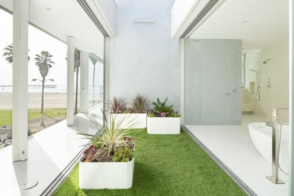 local-artists-multipurpose-california-beach-home-office-grass