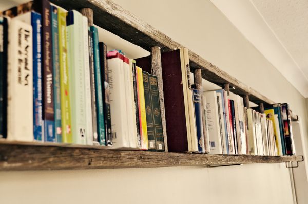 An Old Ladder Bookshelf