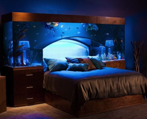 Aquarium Headboard