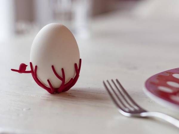 Bird nest egg cup
