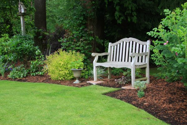 backyard bench