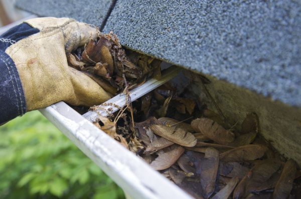 Fall Cleanup - Leaves in Gutter