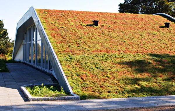 green roof for modern green living_5