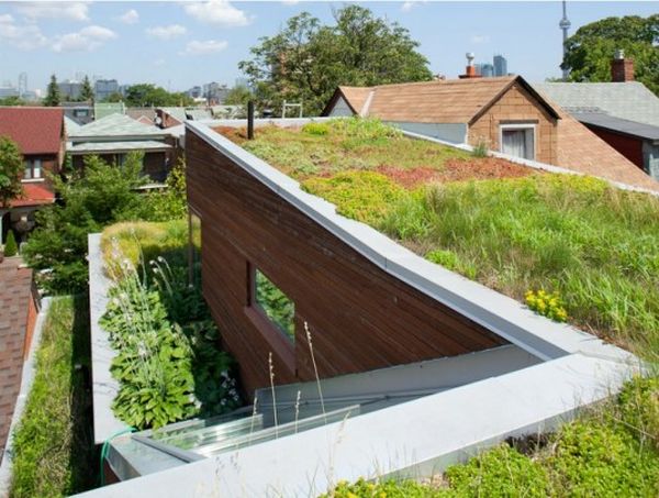 urban Green roofs_2