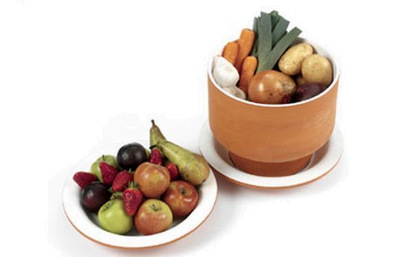 Eco cooler Fruit bowl