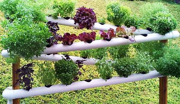 PVC gutter gardening idea