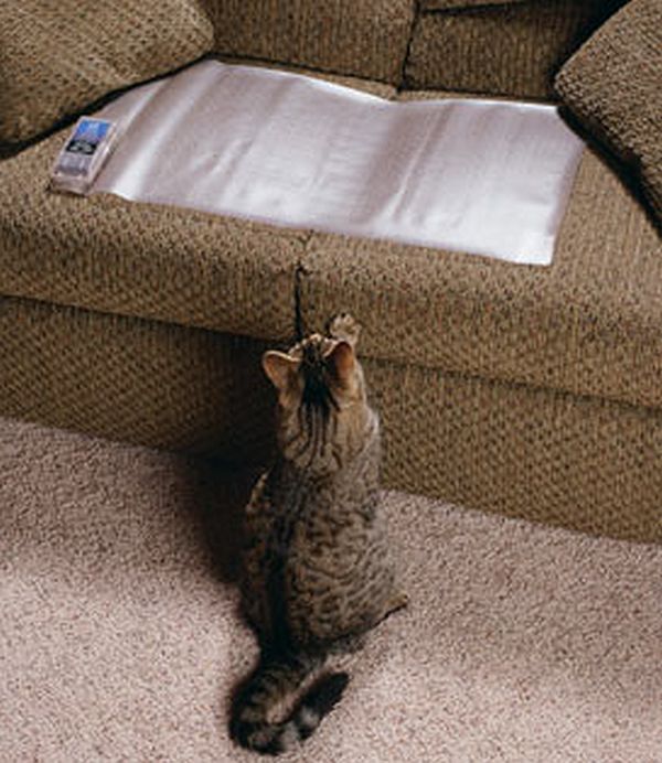 Aluminum Foil for Furniture Safe from Pets