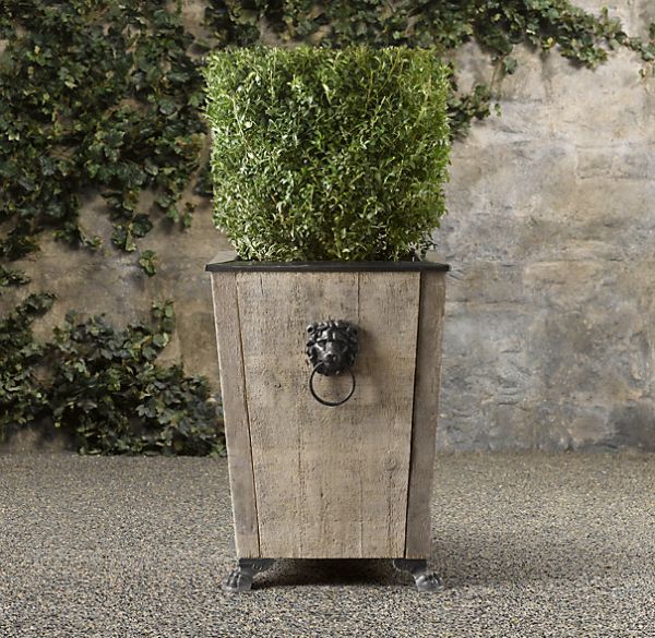 Boxwood Topiary_1