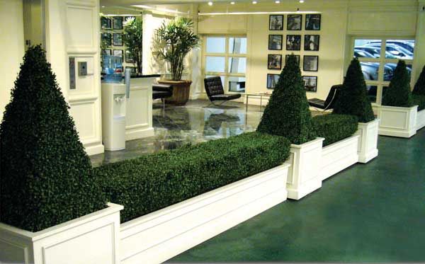 Boxwood Topiary_4