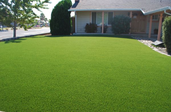 synthetic turf in your backyard 5