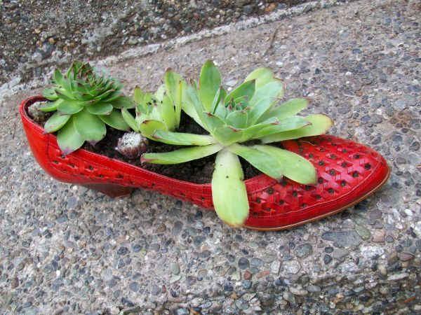 Repurpose old shoes (2)