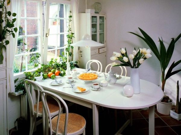 flowering plants in dining room