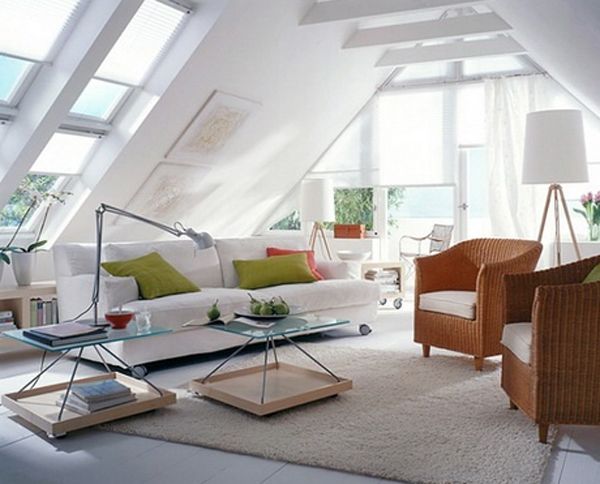 attic  (7)