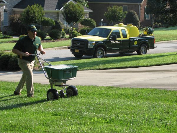 lawn in home (5)