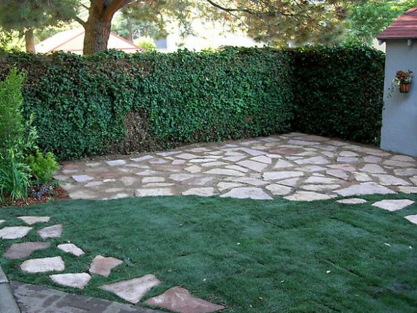 flagstone pathway for your lawn (3)