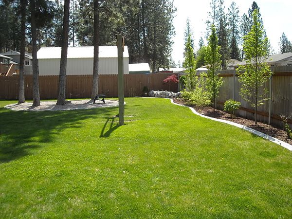 landscaping your backyard  (4)