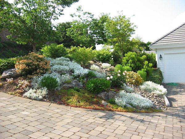 rock garden