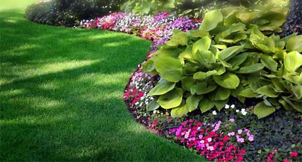 Landscaping tips  (2)