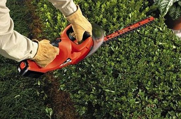 hedge trimming