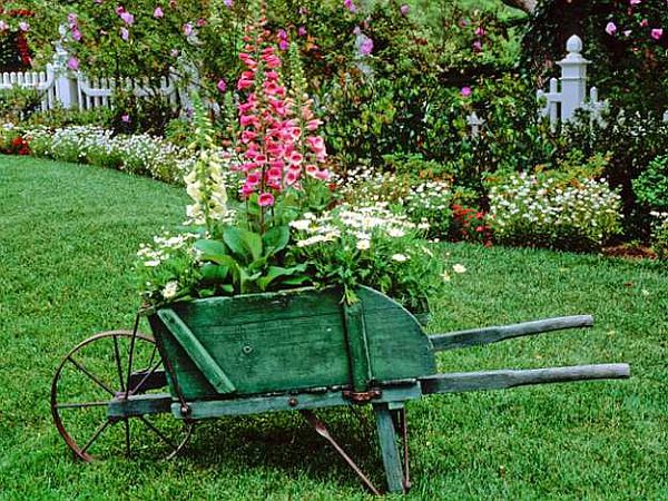 7 Landscaping blunders you should steer clear of - Hometone - Home