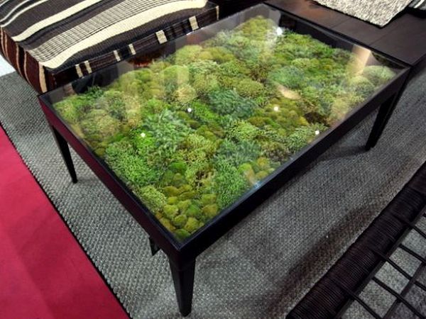 moss coffee table