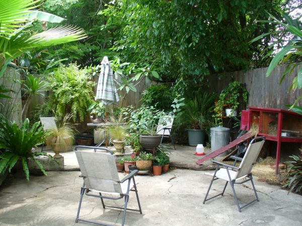 tiny backyard  improvement (1)