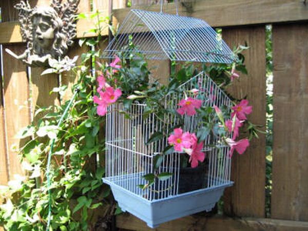 Birdcage planters