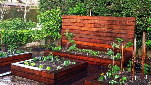 Unique ideas for a useful and beautiful veggie garden - Hometone - Home