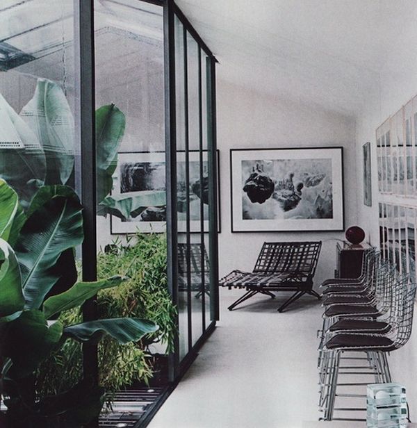 Glass indoor garden