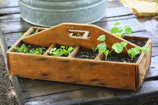 old toolbox into an indoor planter