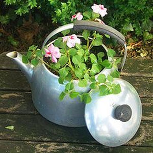 Teapot planters