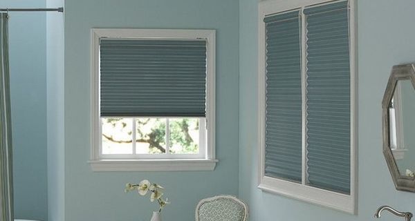 blinds for bathroom windows (2)