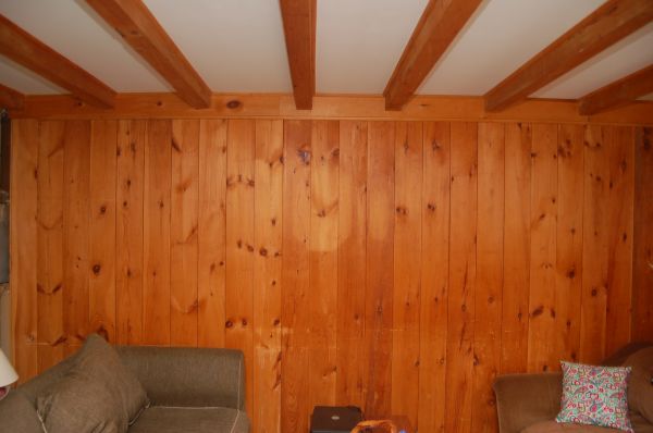 wood paneled walls (1)