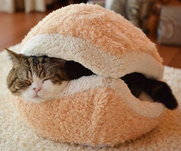 Cat Burger Bed