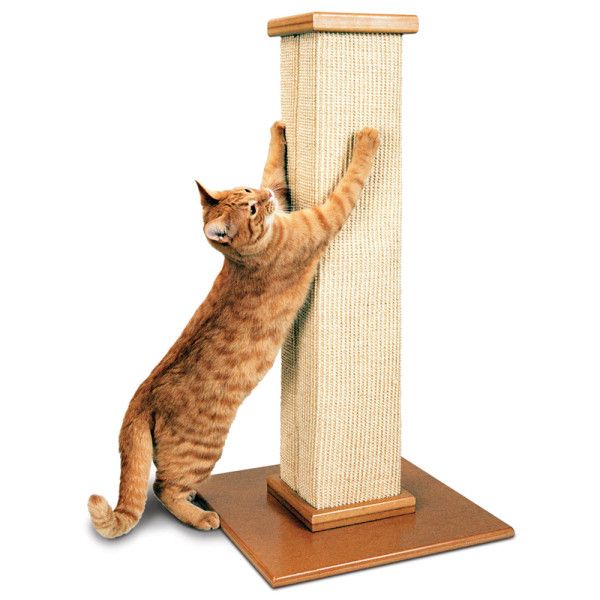 Cat scratcher