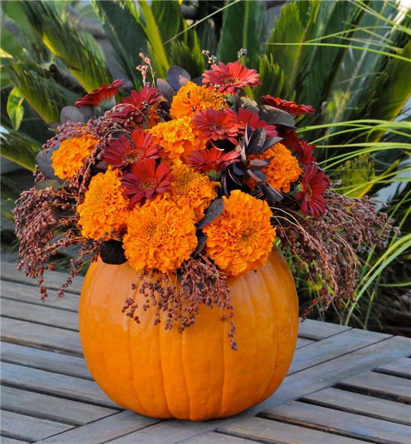 Pumpkin vases