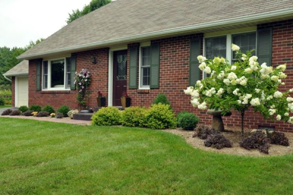 front yard landscaping (2)