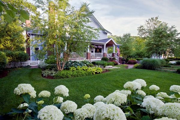 landscaping of your yard (2)